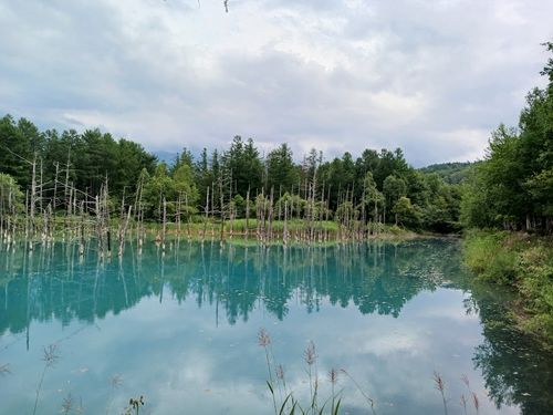 北海道の旨い!を食べるC△mp旅’ 2025(1 of 4) 北海道 ファミリーキャンプ キャンピングカー vios outdoor'sさんのキャンプブログ CAMPiii(キャンピー) -キャンプ専用SNS キャンプのすべてがここに集まる-