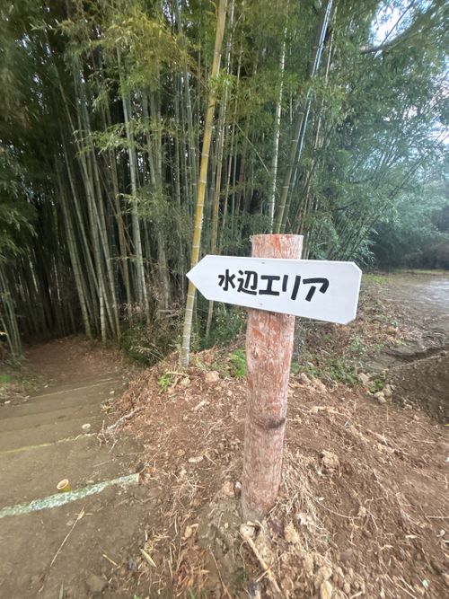 🎊新規キャンプ場オープン🎉🎉🎉 紫星の森 Oniyomeさんのキャンプブログ CAMPiii（キャンピー） -キャンプ専用SNS キャンプのすべてがここに集まる-