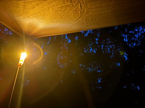 ただチキチキボーンを食べてみたかったキャンプ 北浦 ソロキャンプ オートサイト ASAPさんのキャンプブログ CAMPiii（キャンピー） -キャンプ専用SNS キャンプのすべてがここに集まる-