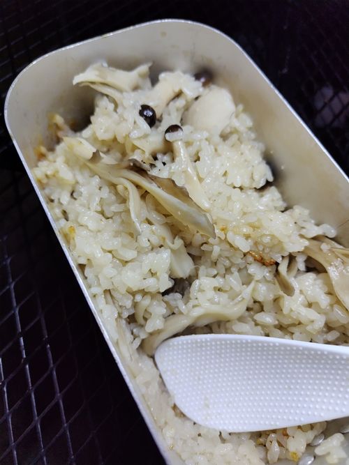 2026年初キャンプ　春ですがまだまだ寒かった The earth with dogs ファミリーキャンプ 区画サイト オートサイト セツさんのキャンプブログ CAMPiii（キャンピー） -キャンプ専用SNS キャンプのすべてがここに集まる-