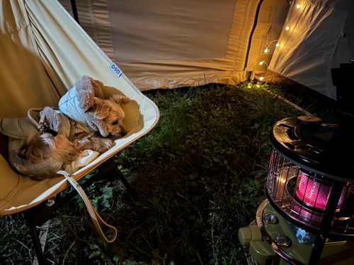 ふもとっぱらキャンプ場 ふもとっぱらキャンプ場 ファミリーキャンプ フリーサイト あやぴさんのキャンプブログ CAMPiii(キャンピー) -キャンプ専用SNS キャンプのすべてがここに集まる-