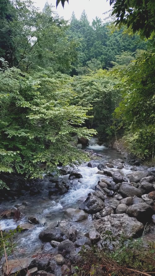 第３０回キャンプ⛺️桃沢キャンプ場 桃沢キャンプ場 ソロキャンプ 区画サイト KUMA21さんのキャンプブログ CAMPiii（キャンピー） -キャンプ専用SNS キャンプのすべてがここに集まる-