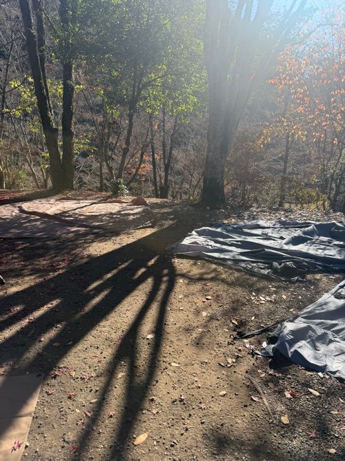 いい夫婦の日に2組でキャンプ 阿蘇レインボーバレー ファミリーキャンプ グループキャンプ 区画サイト オートサイト moreAiさんのキャンプブログ CAMPiii（キャンピー） -キャンプ専用SNS キャンプのすべてがここに集まる-