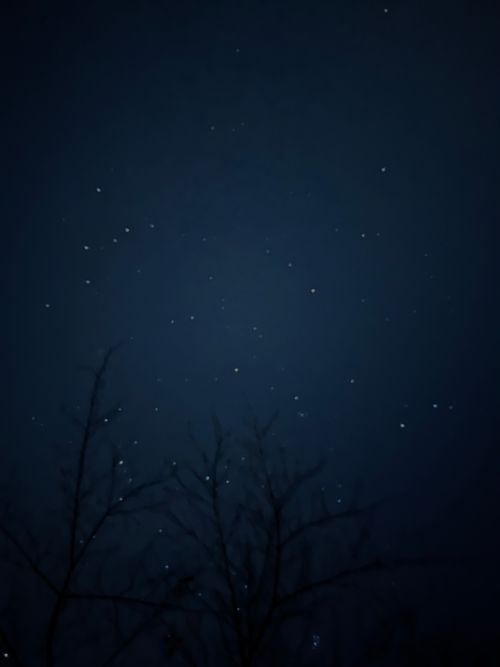 薪ストーブ　初インストール 火剣山キャンプ場 ソロキャンプ フリーサイト 区画サイト KABUTOさんのキャンプブログ CAMPiii（キャンピー） -キャンプ専用SNS キャンプのすべてがここに集まる-