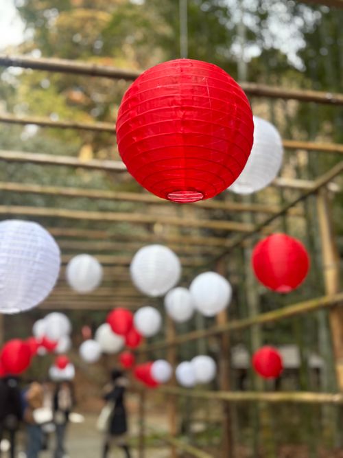 【番外編】𝗛𝗮𝗽𝗽𝘆 𝗡𝗲𝘄 𝗬𝗲𝗮𝗿♬︎*.:* キャンプグランド・ベアーベル Oniyomeさんのキャンプブログ CAMPiii（キャンピー） -キャンプ専用SNS キャンプのすべてがここに集まる-