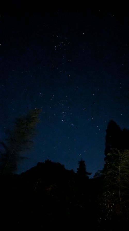 中国地方遠征キャンプ🏕️島根編 うさぎ森林公園 夢の森うさぎ ソロキャンプ 区画サイト オートサイト ヒゲキャンさんのキャンプブログ CAMPiii（キャンピー） -キャンプ専用SNS キャンプのすべてがここに集まる-
