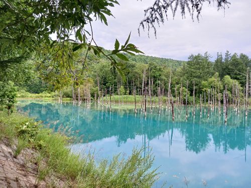 【Day2】北海道Ｃ△ｍｐ旅’  in 上川・ふらの SPA＆HOTEL RESORT ふらのラテール ファミリーキャンプ キャンピングカー vios outdoor'sさんのキャンプブログ CAMPiii（キャンピー） -キャンプ専用SNS キャンプのすべてがここに集まる-