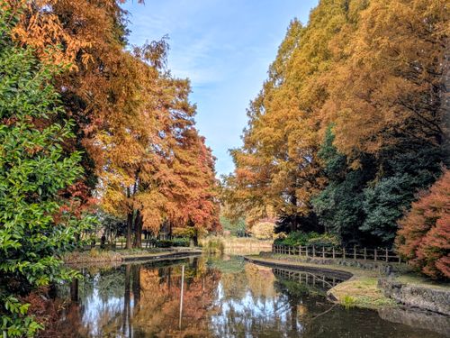 サクッとデイキャン。 庄内緑地 ソロキャンプ フリーサイト ぞのさんさんのキャンプブログ CAMPiii（キャンピー） -キャンプ専用SNS キャンプのすべてがここに集まる-