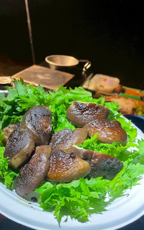 [静岡県] 伊豆赤沢ベイ 海のキャンプ場  赤沢ベイ -AkazawaBay- 海のキャンプ場 グループキャンプ フリーサイト CATさんのキャンプブログ CAMPiii（キャンピー） -キャンプ専用SNS キャンプのすべてがここに集まる-