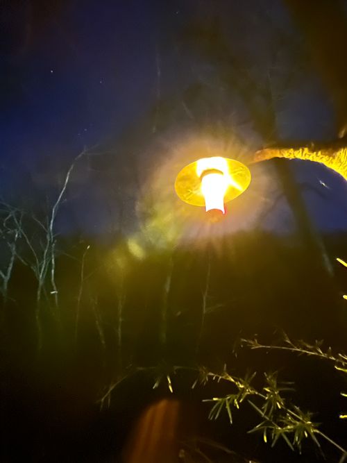 CAMPiii（キャンピー） YOTIさんのキャンプブログ 間違いさがし？ 