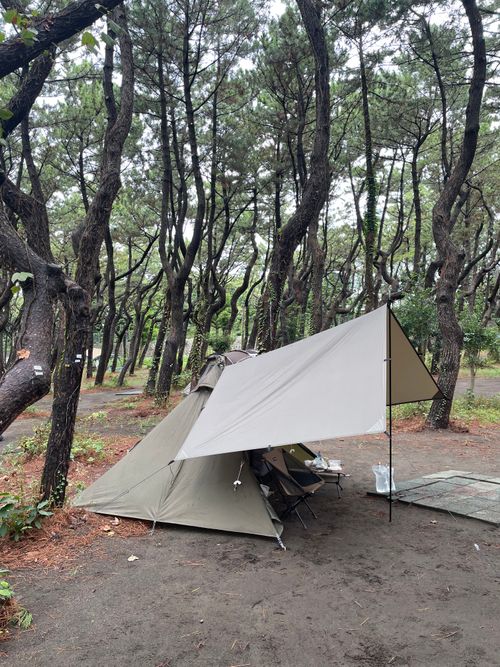 海岸通りが気持ちいい!徒歩ソロで行く、ちがさき柳島キャンプ場 柳島キャンプ場 ソロキャンプ 区画サイト ma9さんのキャンプブログ CAMPiii(キャンピー) -キャンプ専用SNS キャンプのすべてがここに集まる-