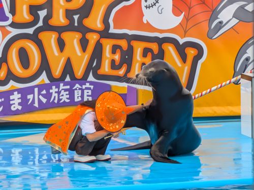 北陸を楽しむ！！Vol.1 能登島家族旅行村Ｗｅランド ソロキャンプ グループキャンプ 区画サイト オートサイト ちあさんのキャンプブログ CAMPiii（キャンピー） -キャンプ専用SNS キャンプのすべてがここに集まる-