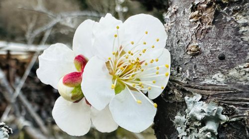 久しぶりのキャンプ ソロキャンプ フリーサイト ちゃむ！さんのキャンプブログ CAMPiii（キャンピー） -キャンプ専用SNS キャンプのすべてがここに集まる-