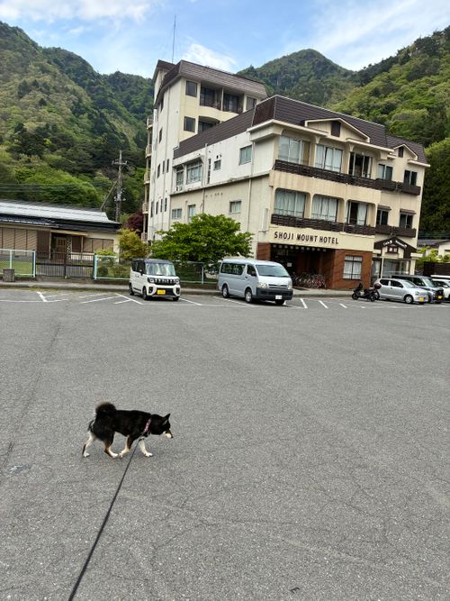 GW働いたので明けてから3泊 精進湖キャンピングコテージ ソロキャンプ フリーサイト オートサイト アクセルさんのキャンプブログ CAMPiii（キャンピー） -キャンプ専用SNS キャンプのすべてがここに集まる-