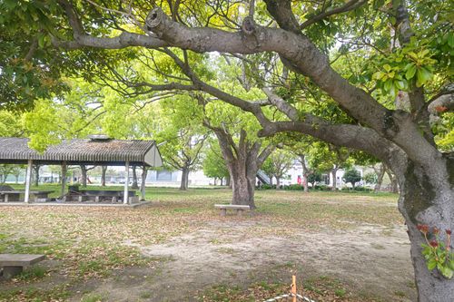 104回目のキャンプは海辺で揚げ物だった 大浦崎公園キャンプ場 グループキャンプ フリーサイト サイババ-SBBcampさんのキャンプブログ CAMPiii（キャンピー） -キャンプ専用SNS キャンプのすべてがここに集まる-