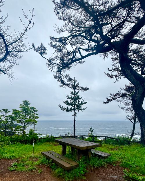 夏はやっぱり海キャンだ‪🔆‬🍉🌻🏊🌊 神割崎キャンプ場 Oniyomeさんのキャンプブログ CAMPiii（キャンピー） -キャンプ専用SNS キャンプのすべてがここに集まる-
