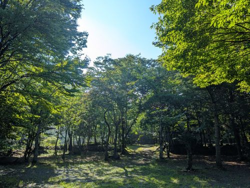ソログルらしいソログルを ラビットオートキャンプ場 ソロキャンプ グループキャンプ 区画サイト 週末スナフキンさんのキャンプブログ CAMPiii(キャンピー) -キャンプ専用SNS キャンプのすべてがここに集まる-