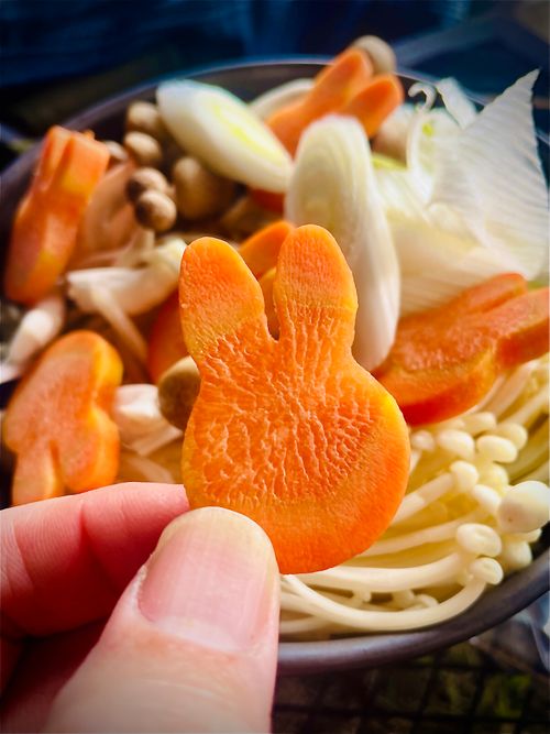 秋のエヴァ祭り？おじおばうさキャン△ in 江汐公園キャンプ場 〜 CAMP NO.166 江汐公園 ファミリーキャンプ グループキャンプ 区画サイト おじキャン△さんのキャンプブログ CAMPiii（キャンピー） -キャンプ専用SNS キャンプのすべてがここに集まる-