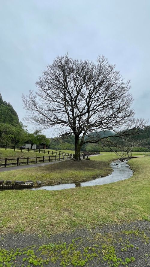 CAMPiii（キャンピー） フォレキャンさんのキャンプブログ 都城キャンプDay2 スノーピーク都城キャンプ場