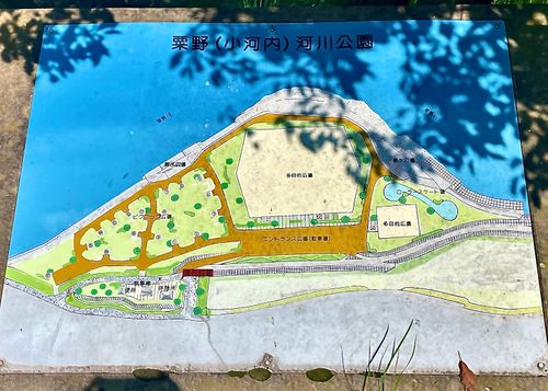 初めてのキャンプ場?でおじうさ+○○キャン△ in 阿川ほうせんぐり海浜公園 〜 CAMP NO.149 阿川ほうせんぐり海浜公園 ソロキャンプ ファミリーキャンプ フリーサイト おじキャン△さんのキャンプブログ CAMPiii(キャンピー) -キャンプ専用SNS キャンプのすべてがここに集まる-