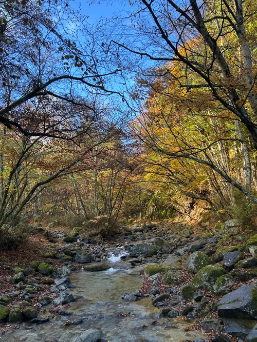 紅葉🍁キャンプ 山伏オートキャンプ場 ソロキャンプ グループキャンプ 区画サイト Genさんのキャンプブログ CAMPiii（キャンピー） -キャンプ専用SNS キャンプのすべてがここに集まる-