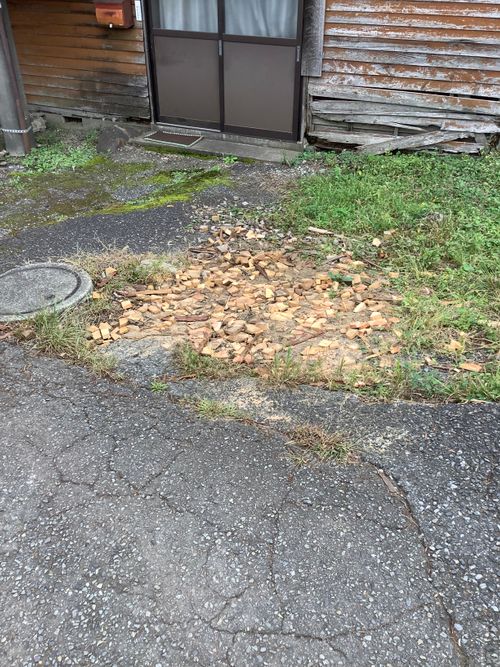 Vol.104 25/NO.23　いつもの場所でお肉焼く‼️ 坂戸市 ソロキャンプ フリーサイト 🔥焚き火🔥さんのキャンプブログ CAMPiii（キャンピー） -キャンプ専用SNS キャンプのすべてがここに集まる-