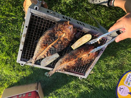 2回目のキャンプ スノーピーク十勝ポロシリキャンプフィールド ファミリーキャンプ フリーサイト beruさんのキャンプブログ CAMPiii（キャンピー） -キャンプ専用SNS キャンプのすべてがここに集まる-