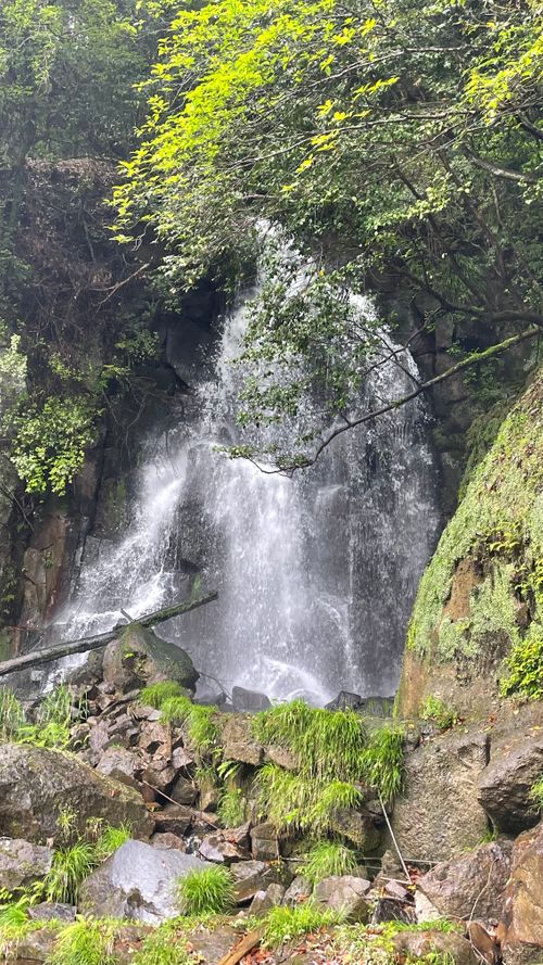 都城キャンプDay2 スノーピーク都城キャンプ場 ファミリーキャンプ 区画サイト オートサイト フォレキャンさんのキャンプブログ CAMPiii（キャンピー） -キャンプ専用SNS キャンプのすべてがここに集まる-