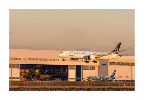 久しぶりのホーム GROVE camping hill ソロキャンプ ファミリーキャンプ グループキャンプ 区画サイト フリーサイト オートサイト ENJOY THE OUTDOORSさんのキャンプブログ CAMPiii（キャンピー） -キャンプ専用SNS キャンプのすべてがここに集まる-