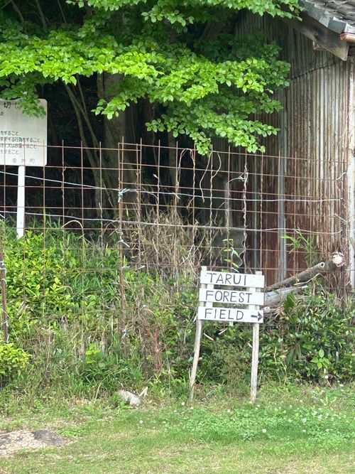 遠征❓ソログル🏕 TARUI FOREST FIELD ソロキャンプ グループキャンプ 区画サイト Genさんのキャンプブログ CAMPiii（キャンピー） -キャンプ専用SNS キャンプのすべてがここに集まる-