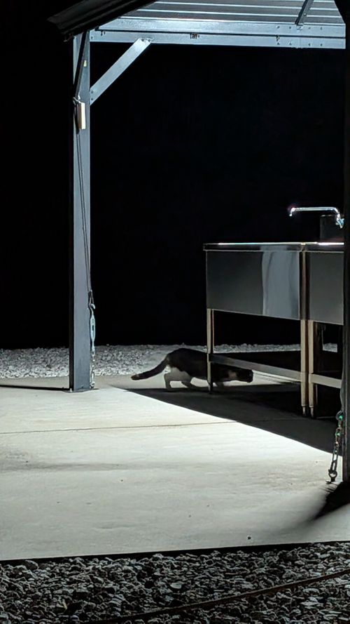 キャンプ再開して、同じとこへ　No.45 South One Village 館山 グループキャンプ ソロキャンプ 区画サイト すーつさんのキャンプブログ CAMPiii（キャンピー） -キャンプ専用SNS キャンプのすべてがここに集まる-