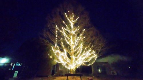 あけましておめでとうごニャイます！🐱（byまきお） ラピュタファームキャンプ場 グループキャンプ フリーサイト スローライフに憧れるさんのキャンプブログ CAMPiii（キャンピー） -キャンプ専用SNS キャンプのすべてがここに集まる-