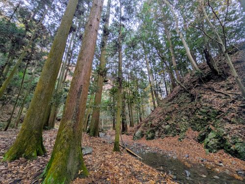 やはり自然には勝てないよね〜 大阪府 ソロキャンプ フリーサイト ぞのさんさんのキャンプブログ CAMPiii（キャンピー） -キャンプ専用SNS キャンプのすべてがここに集まる-