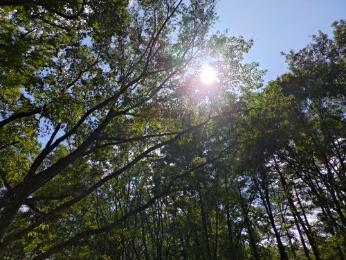 やっと来れた聖湖キャンプ場🏕️ 聖湖キャンプ場 ソロキャンプ フリーサイト ＪＩＭＭＹさんのキャンプブログ CAMPiii（キャンピー） -キャンプ専用SNS キャンプのすべてがここに集まる-