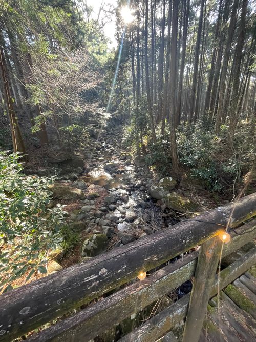 徒歩ソロで行く、いこいの森 RECAMP おだわら 小田原市いこいの森 RECAMP おだわら ソロキャンプ 区画サイト ma9さんのキャンプブログ CAMPiii（キャンピー） -キャンプ専用SNS キャンプのすべてがここに集まる-