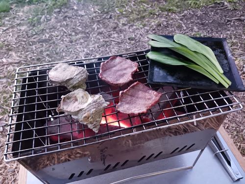 5/5（火）痛車で白馬と♨を満喫する梯子旅...in 白馬♨・③ 白馬森のわさび農園（オートキャンプ場併設） ファミリーキャンプ キャンピングカー vios outdoor'sさんのキャンプブログ CAMPiii（キャンピー） -キャンプ専用SNS キャンプのすべてがここに集まる-