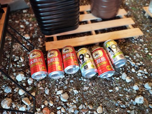 2025年キャンプ納めは浜キャン 浜オートキャンプ場 ソロキャンプ グループキャンプ 区画サイト オートサイト たかたかぽんたさんのキャンプブログ CAMPiii（キャンピー） -キャンプ専用SNS キャンプのすべてがここに集まる-