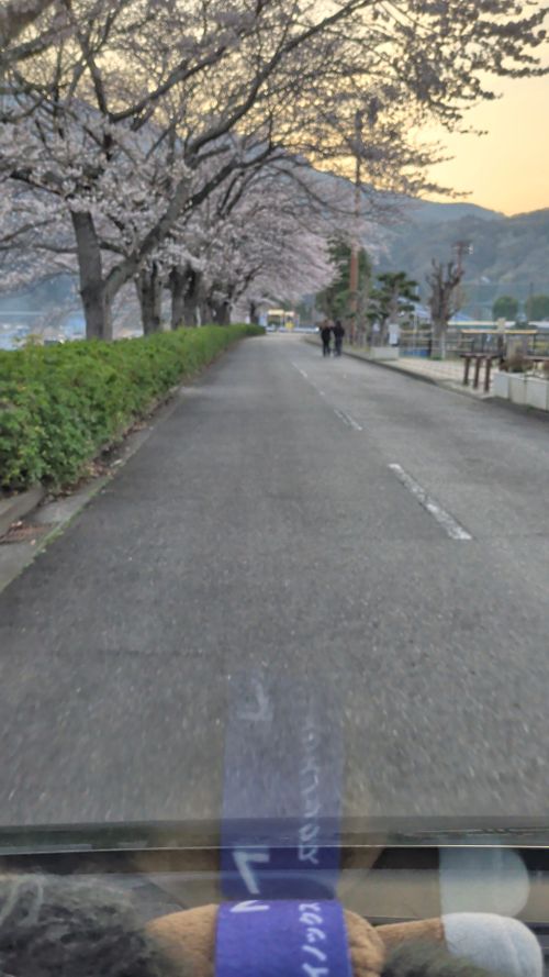 田代 中津川河川敷 ソロキャンプ フリーサイト オートサイト IZUIZUさんのキャンプブログ CAMPiii（キャンピー） -キャンプ専用SNS キャンプのすべてがここに集まる-