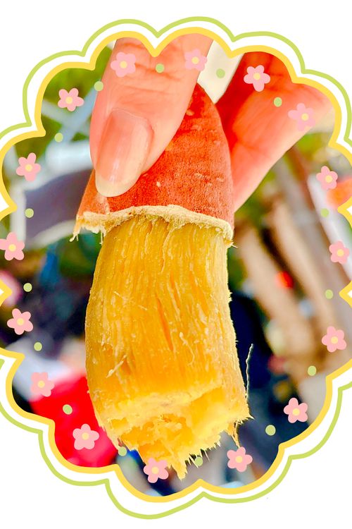 秋の大グルキャンイベント‼️𝙸𝙽 千葉県 オートキャンプ悠遊の丘 グループキャンプ フリーサイト オートサイト Oniyomeさんのキャンプブログ CAMPiii(キャンピー) -キャンプ専用SNS キャンプのすべてがここに集まる-