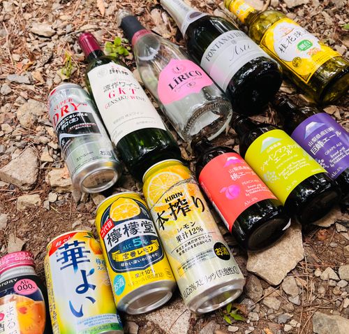 本栖湖の透明度に感激でした*.(๓´͈ ˘ `͈๓).* 本栖湖いこいの森キャンプ場 グループキャンプ 区画サイト ぷりんさんのキャンプブログ CAMPiii(キャンピー) -キャンプ専用SNS キャンプのすべてがここに集まる-