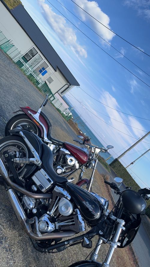 キャンプツーリング グループキャンプ フリーサイト かつ丼さんのキャンプブログ CAMPiii（キャンピー） -キャンプ専用SNS キャンプのすべてがここに集まる-