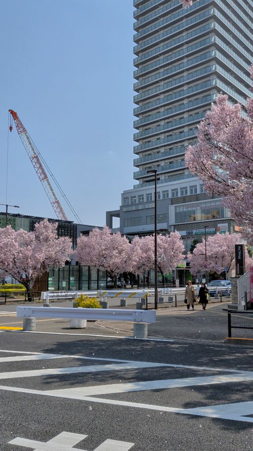田代 中津川河川敷 ソロキャンプ フリーサイト オートサイト IZUIZUさんのキャンプブログ CAMPiii（キャンピー） -キャンプ専用SNS キャンプのすべてがここに集まる-