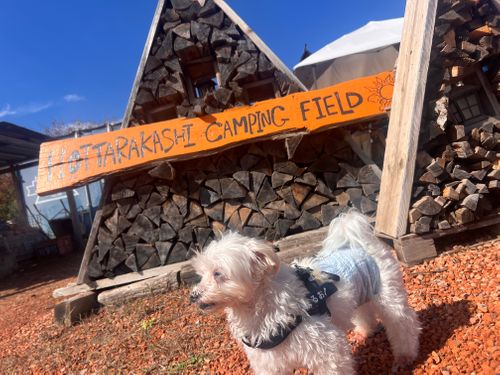 第83話  ほったらかしキャンプ場やっとこさ来れた〜 ほったらかしキャンプ場 ソロキャンプ 区画サイト ちろ犬さんのキャンプブログ CAMPiii(キャンピー) -キャンプ専用SNS キャンプのすべてがここに集まる-