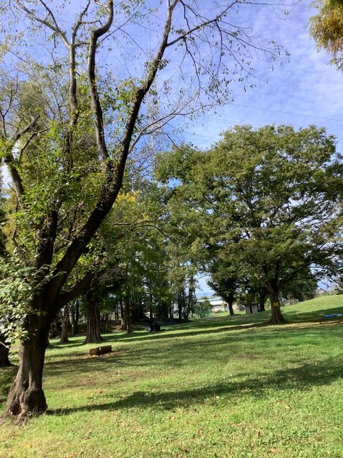 Vol.104 25/NO.23　いつもの場所でお肉焼く‼️ 坂戸市 ソロキャンプ フリーサイト 🔥焚き火🔥さんのキャンプブログ CAMPiii（キャンピー） -キャンプ専用SNS キャンプのすべてがここに集まる-