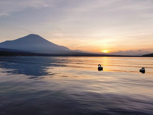 CAMPiii（キャンピー） まささんのキャンプブログ 夕日と白鳥と富士山と 湖山荘キャンプ場