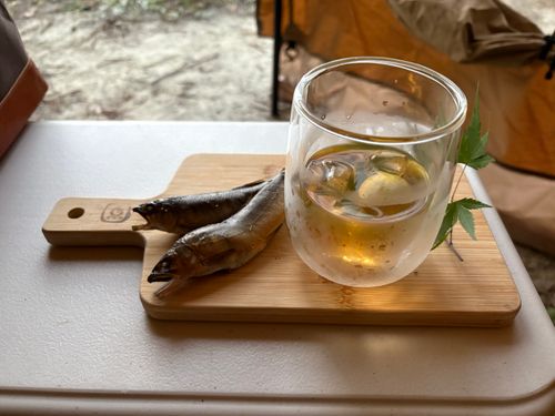 旅する古本屋〜猫のお告げは樹の下で〜 HOSOMINE BASE 細峯ベース ソロキャンプ 区画サイト ぱぱちょさんのキャンプブログ CAMPiii(キャンピー) -キャンプ専用SNS キャンプのすべてがここに集まる-