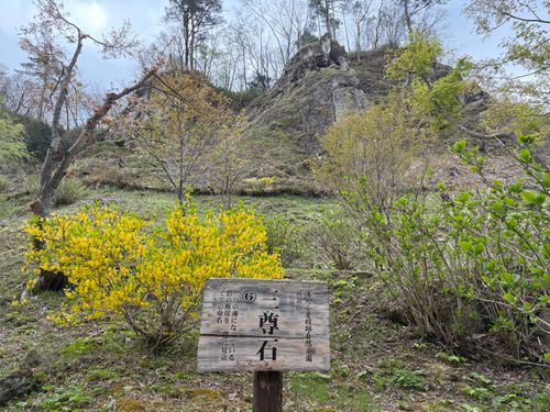 今年の桜は早かったキャンプ たびのCAMPING BASE 天守閣自然公園オートキャンプ場 ソロキャンプ 区画サイト やまなかさんのキャンプブログ CAMPiii（キャンピー） -キャンプ専用SNS キャンプのすべてがここに集まる-