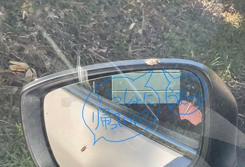 貸し切りすぎ、気持ち良すぎ、カメムシいすぎ North Village Hirugano - Camping Fields ファミリーキャンプ オートサイト 区画サイト りょっちーさんのキャンプブログ CAMPiii（キャンピー） -キャンプ専用SNS キャンプのすべてがここに集まる-