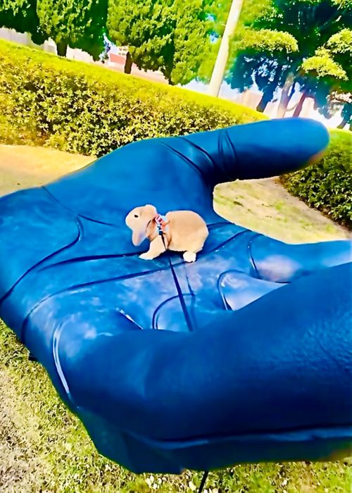 秋のエヴァ祭り？おじおばうさキャン△ in 江汐公園キャンプ場 〜 CAMP NO.166 江汐公園 ファミリーキャンプ グループキャンプ 区画サイト おじキャン△さんのキャンプブログ CAMPiii（キャンピー） -キャンプ専用SNS キャンプのすべてがここに集まる-