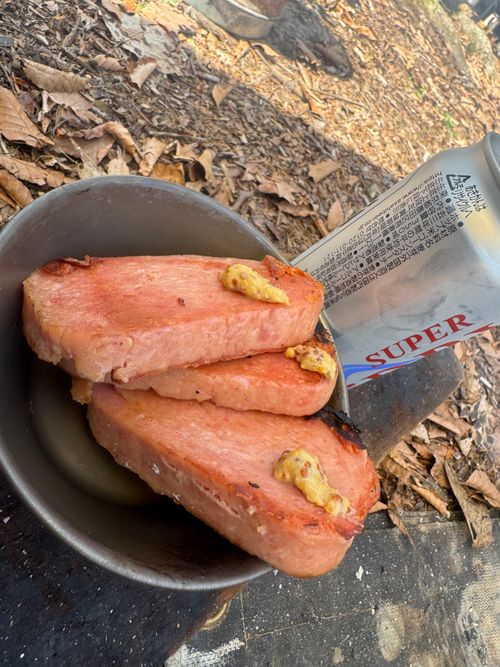 pica表富士2026年シーズンスタート PICA表富士 ソロキャンプ グループキャンプ フリーサイト まっつんさんのキャンプブログ CAMPiii（キャンピー） -キャンプ専用SNS キャンプのすべてがここに集まる-